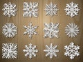 Vector christmas paper snowflake set
