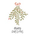 Vector Christmas plant background hand drawn mistletoe Royalty Free Stock Photo