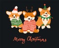 Vector Christmas postcard with cute corgi