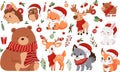 Vector Christmas Set. Cute animals in Christmas costumes, Santa Claus hats, scarves and mittens. Spruce branches Royalty Free Stock Photo