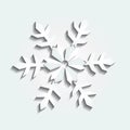 Vector Christmas white snowflake flower ornament icon background Royalty Free Stock Photo