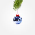 Vector Christmas tree branch with cute shining ball isolated on transparent background Royalty Free Stock Photo