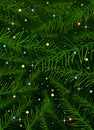Vector Christmas tree pine branches background