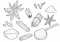 Vector Cinnamon spices. Vintage hand drawn Doodle Outline. Sketch, Illustration. Cafe ,spice shop,menu.Seeds and spices. Organic