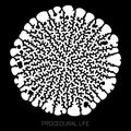 Vector circular unknown life abstract shape. Biological procedural cellular growth structure. Differential growth of