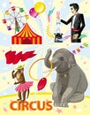 Circus poster with elephant, monkey and magician Royalty Free Stock Photo