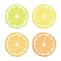 Vector Citrus Fruit Icon Set - Yellow Lemon, Green Lime, Orange Mandarin, Grapefruit Icon Set. Round Slice Design Royalty Free Stock Photo