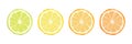 Vector Citrus Fruit Icon Set - Yellow Lemon, Green Lime, Orange Mandarin, Grapefruit. Round Slice Design Element Royalty Free Stock Photo