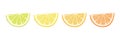 Vector Citrus Fruit Icon Set - Yellow Lemon, Green Lime, Orange Mandarin, Grapefruit. Slice Design Element Isolated on Royalty Free Stock Photo