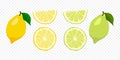 Vector Citrus Fruit Icon Set - Yellow Lemon and Green Lime. Whole and Slice Design Element Isolated on White Background Royalty Free Stock Photo