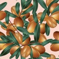 Vector Classic Shea Butter Nuts Seamless Pattern in Pink