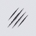 Vector Claws Scratches Illustration,Isolated on Transparent Background, Claws Scratching. Royalty Free Stock Photo