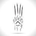 Vector of claws scratching cat,cat paw leg foot,design, Isolated on theWhite background Royalty Free Stock Photo