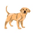 Vector clip art animal illustration. Dog vector illustration Royalty Free Stock Photo