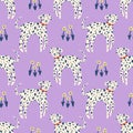 Vector clipart dalmatians dog seamless pattern. Dogs breed. EPS and JPG illustration. Funky doodle trendy print