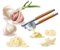 Vector clipart with garlic, cloves and metal press