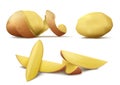 Vector clipart with raw peeled potato and slices Royalty Free Stock Photo