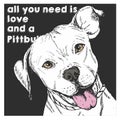 Vector close up portrait of english pit bull, isolated on black square background. All you need is love and a dog.