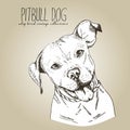 Vector close up portrait of english pitbull. on craft brown background.