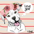 Vector close up portrait of pitbull girl, wearing the flower wreath. Hand drawn domestic pet dog illustration.