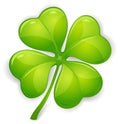 Vector clover Royalty Free Stock Photo