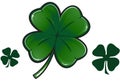 Vector clover leaf