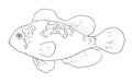 Vector of clownfish Platinum Maroon Fish hand-drawn black outline isolated on white background for colorings. the series of Royalty Free Stock Photo