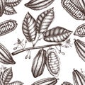 Vector Cocoa tree illustration. Vintage background with hand drawn with leaves, flowers, fruits and beans. Botanical seamless patt