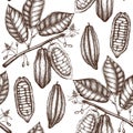 Vector Cocoa tree illustration. Vintage background with hand drawn with leaves, flowres, fruits and beans. Botanical seamless patt