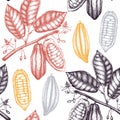 Vector Cocoa tree illustration. Vintage background with hand drawn with leaves, flowres, fruits and beans. Botanical seamless patt