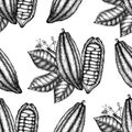 Vector Cocoa tree illustration. Vintage background with hand drawn with leaves, flowres, fruits and beans. Botanical seamless patt