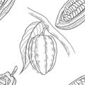 Vector Cocoa tree illustration.