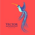 Vector colibri. Graceful hummingbird. Fashionable