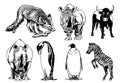 Vector collection of animals on white isolated,graphical elements bull,zebra,rhino and penguin,fox