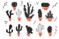 Drawn cactus sketch Royalty Free Stock Photo