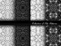 Vector Collection of Black and White Seamless Vintage Patterns Royalty Free Stock Photo