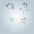 Vector collection of botanical elements. Twigs with leaves, berries, inflorescences.