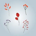 Vector collection of botanical elements. Twigs with leaves, berries, inflorescences.