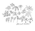 Vector collection of botanical hand drawn doodles.