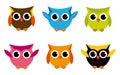 Vector Collection of Bright Owls