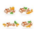 Vector collection of bright and shine logo, stickers, emblems and banners for orange fresh juice