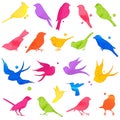 Vector Collection of Bright Watercolor Bird Silhouettes Royalty Free Stock Photo