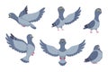 Vector collection of cartoon pigeons