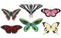 Drawn set with colorful butterflies of different types. Vector illustration Royalty Free Stock Photo