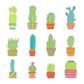 Vector collection of colorful cactus grows in a pot