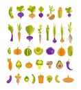 Vector collection with colorful vegetables potatoes, avocado, artichoke, sweet potato and others. Set of 37 illustrations for Royalty Free Stock Photo
