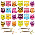 Vector Collection of Cute and Colorful Owls