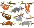 Vector Collection of Cute Sloths in Different Positions and with Babies