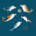 Vector collection of dolphins isolated on a blue background. Set of cute dolphins play ball. Vector flat illustration.