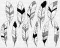 Vector Collection of Doodle Stylized Feathers Royalty Free Stock Photo